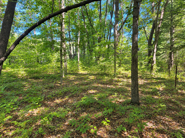 TBD 120th Street, Zimmerman, MN 55398