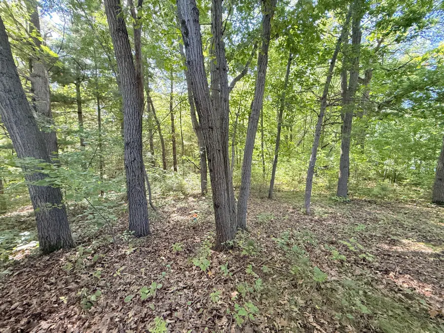 TBD 120th Street, Zimmerman, MN 55398 - #3