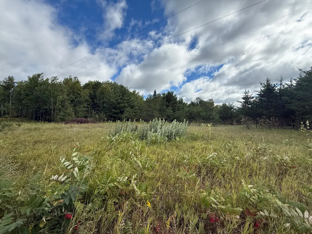 TBD 159th Ave, Bagley, MN 56621 - #1