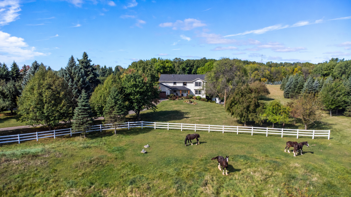 3995 Eckert Avenue Se, Delano, MN 55328 - #1