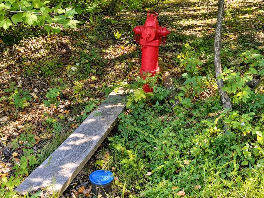 Lot 1 & 2 Bluegill Avenue N, Webster, WI 54893 - #2