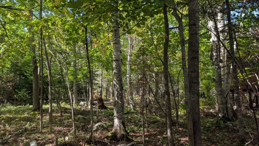 Lot A Everett Bay Rd, Tower, MN 55790 - #3
