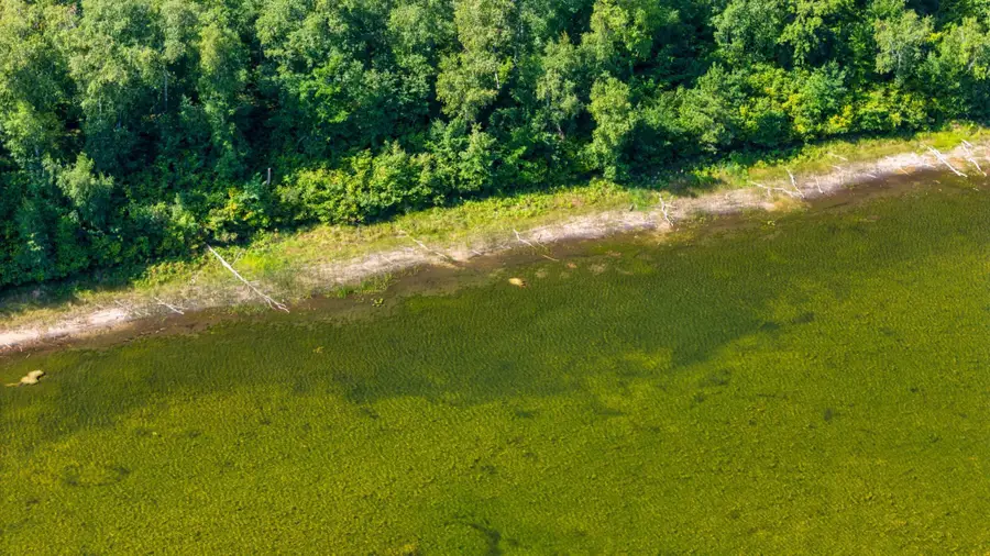 Lot 8 Park Preserve Trail Ne, Bemidji, MN 56601 - #3