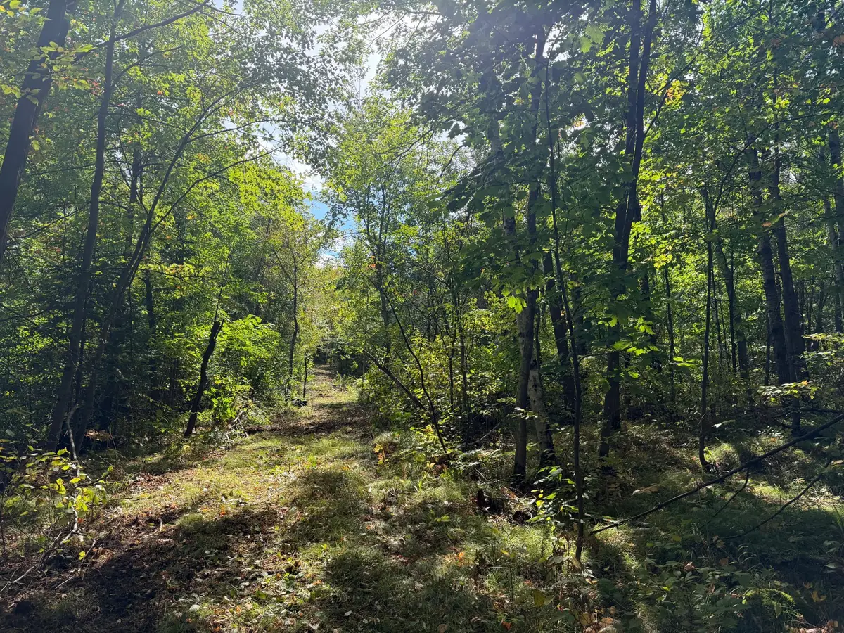 51047 Sand Creek Road, Bruno, MN 55712 - #1