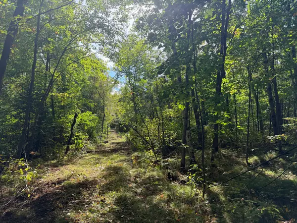 51047 Sand Creek Road, Bruno, MN 55712