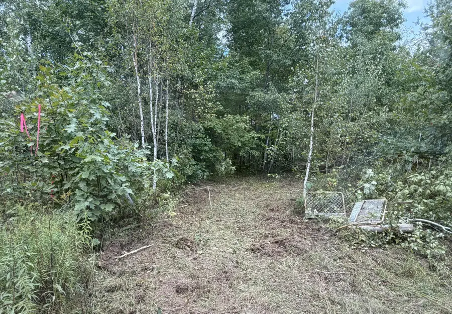 51047 Sand Creek Road, Bruno, MN 55712 - #2