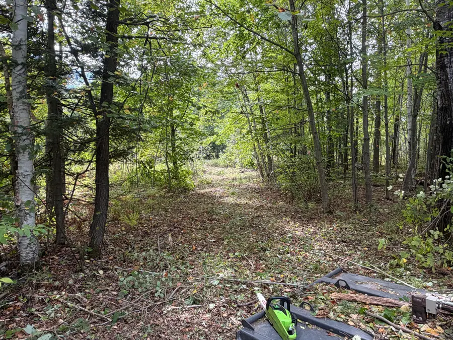51047 Sand Creek Road, Bruno, MN 55712 - #3