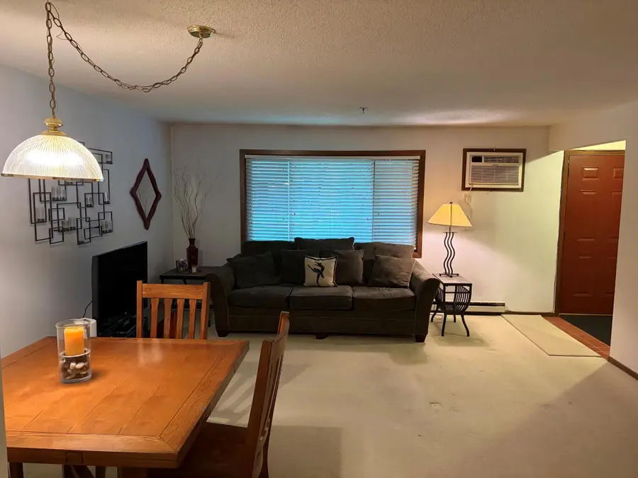 2110 Ridge Drive #13, Saint Louis Park, MN 55416 - #3