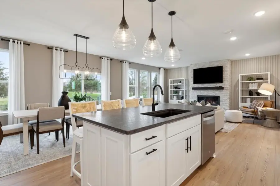 4602 Island Park Bay, Woodbury, MN 55129 - #2