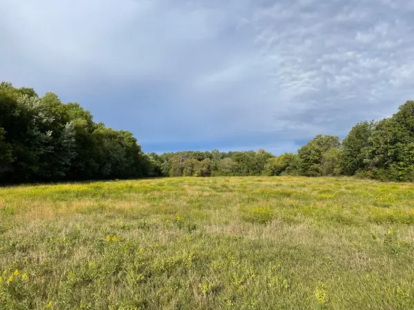 TBD Xxx 140th Avenue, Foreston, MN 56330