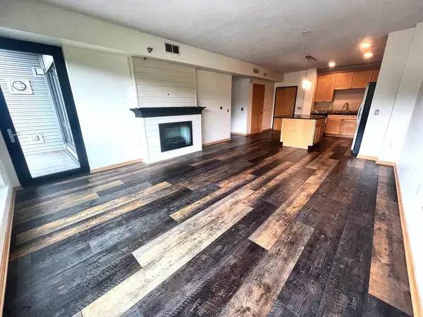 284 Spring Street #311, Saint Paul, MN 55102