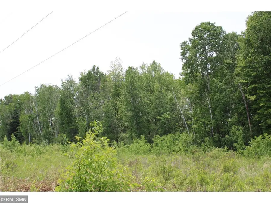 xxxxx Sandhill Crane Ln, Pine City, MN 55063 - #2