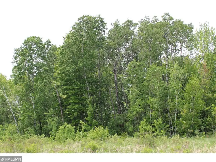 xxxxx Sandhill Crane Ln, Pine City, MN 55063 - #3