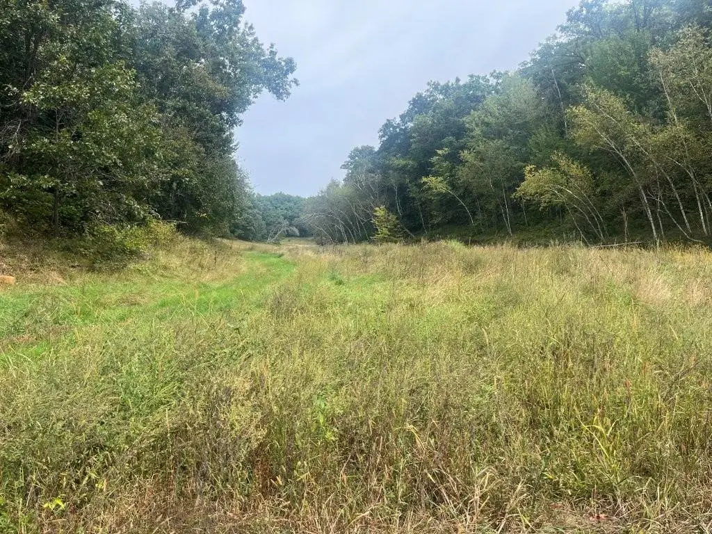 TBD Claire Rd, Taylor, WI 54659 - #1