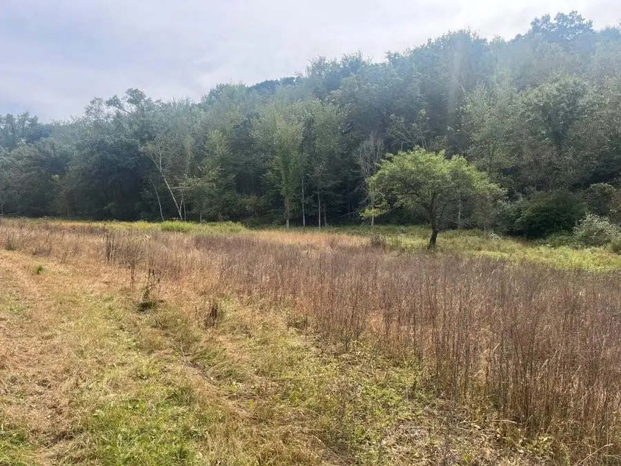 TBD Claire Rd, Taylor, WI 54659 - #2