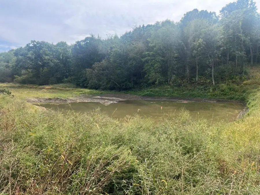 TBD Claire Rd, Taylor, WI 54659 - #3