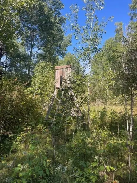 TBD 380th Street, Menahga, MN 56464