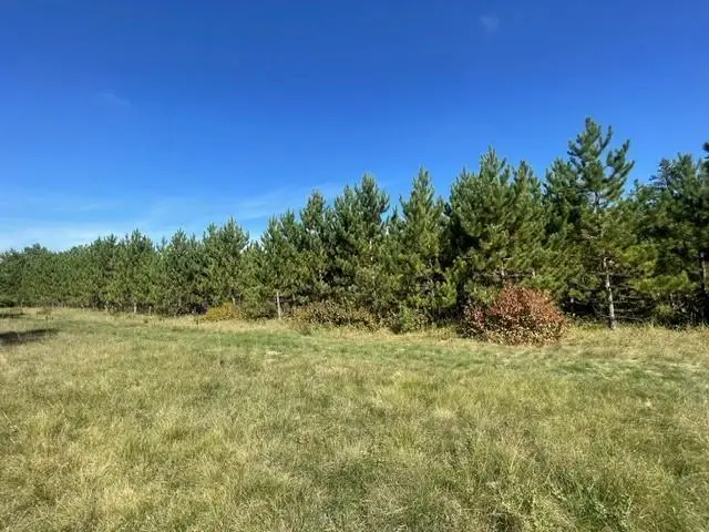 TBD 380th Street, Menahga, MN 56464 - #3