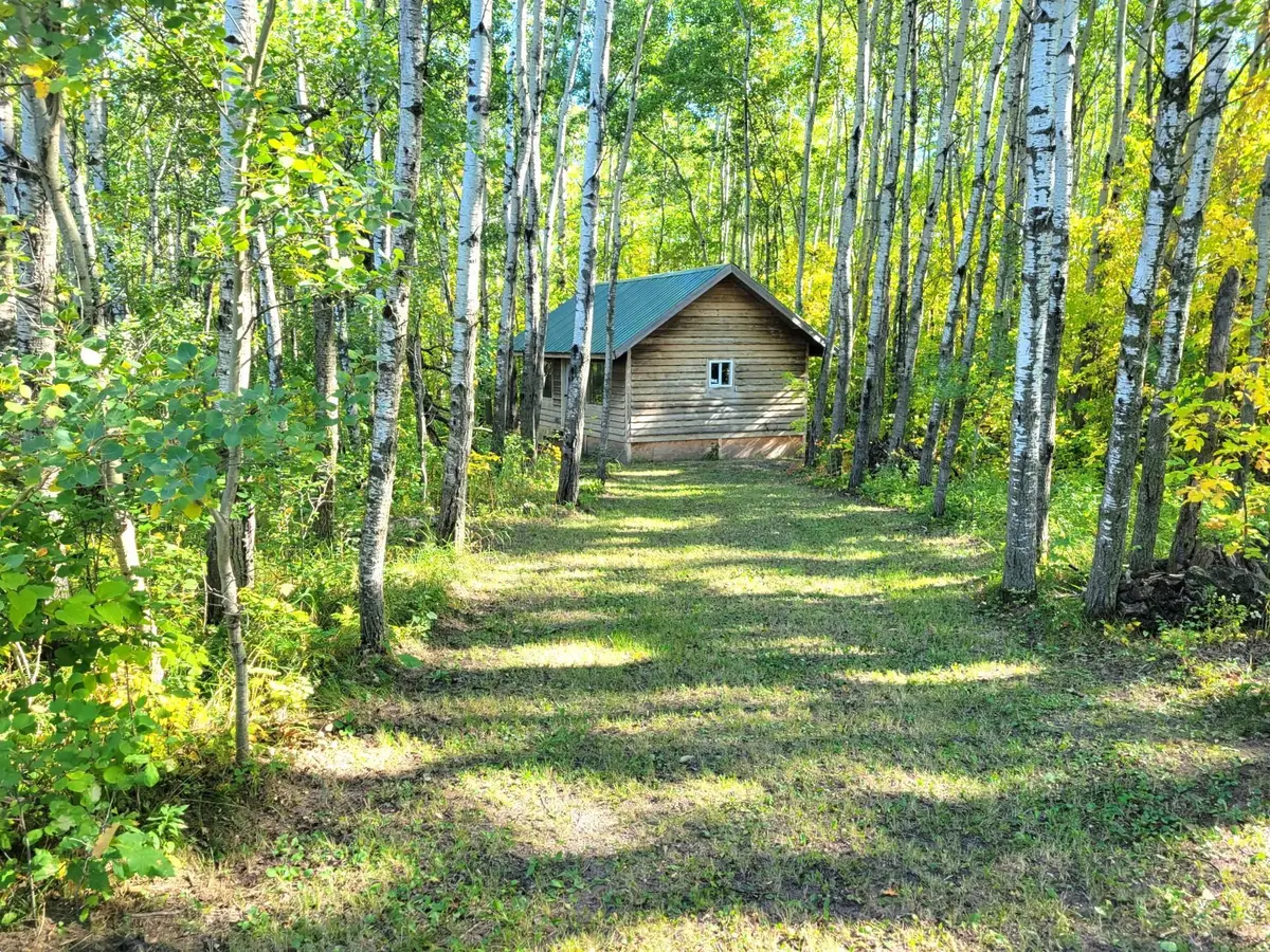 26317 370th Avenue, Roseau, MN 56751 - #1