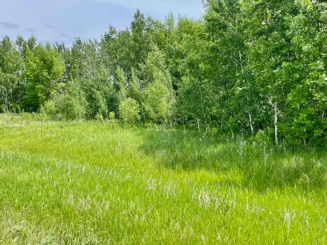 T134-R37 SEC.30    /  HWY 67 Hwy 67, Henning, MN 56551 - #3