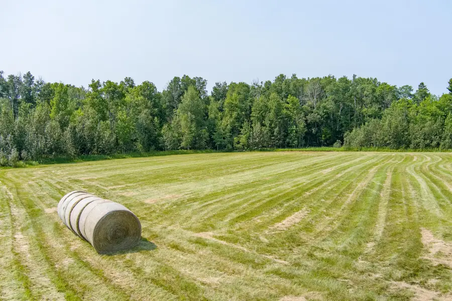 0 Tbd County Highway, Meadowlands, MN 55765 - #3