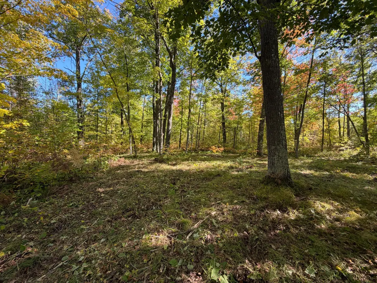 tbd 110th, Sturgeon Lake, MN 55783 - #1