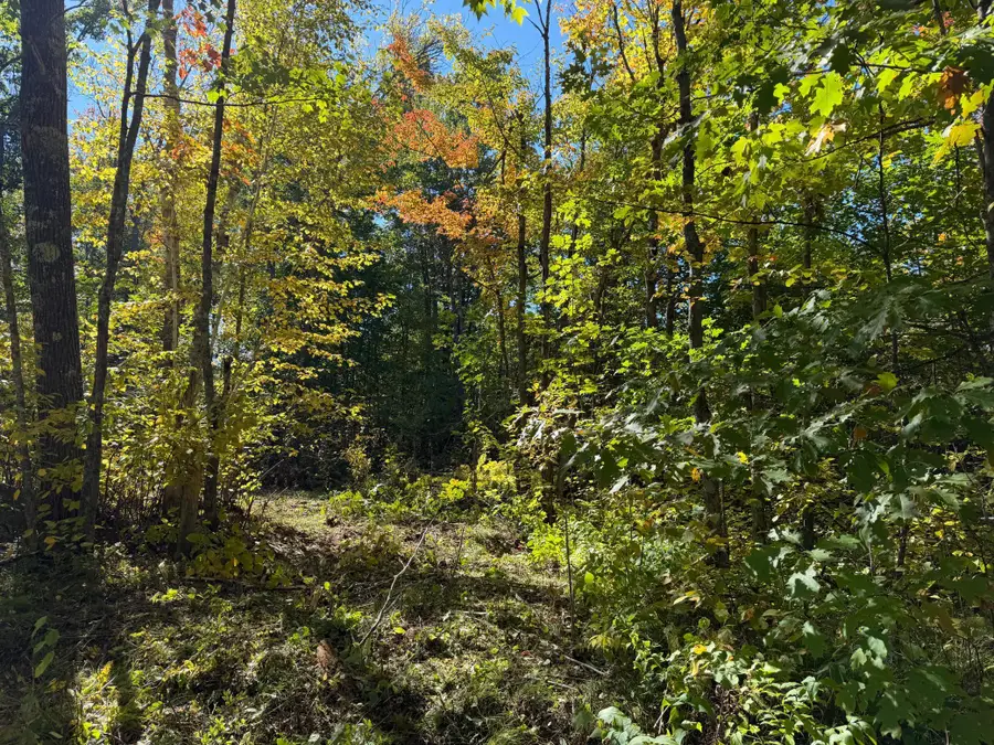 tbd 110th, Sturgeon Lake, MN 55783 - #2