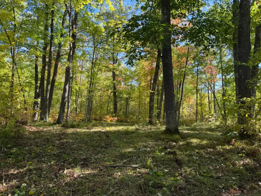 tbd 110th, Sturgeon Lake, MN 55783 - #3