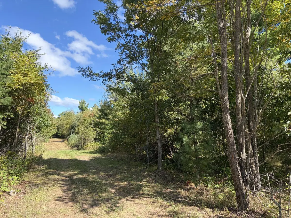 XXX Bluebird Trail, Webster, WI 54893 - #1