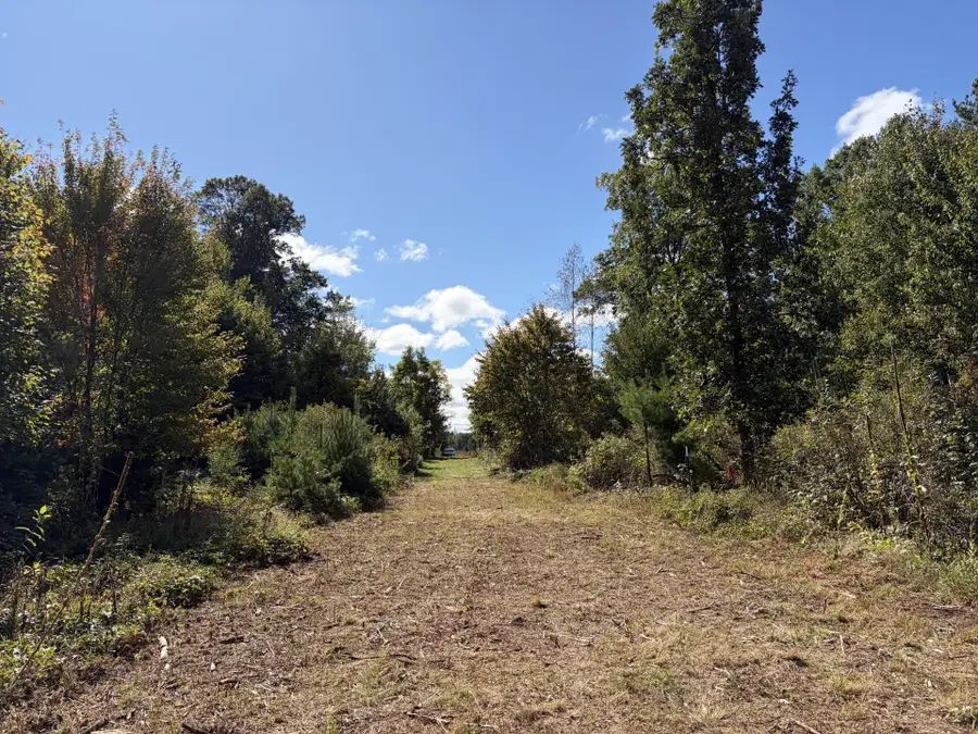 XXX Bluebird Trail, Webster, WI 54893 - #2