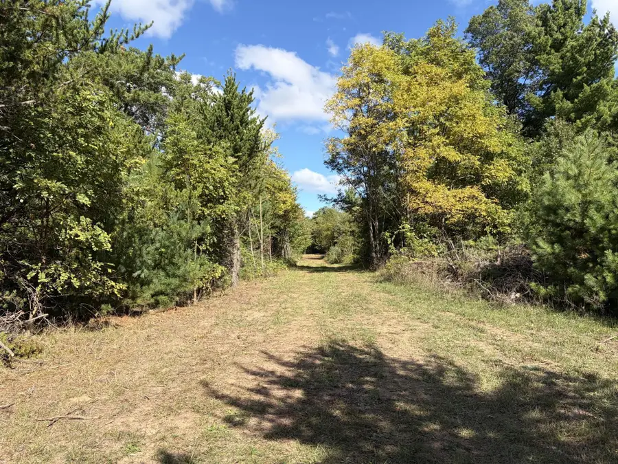 XXX Bluebird Trail, Webster, WI 54893 - #3
