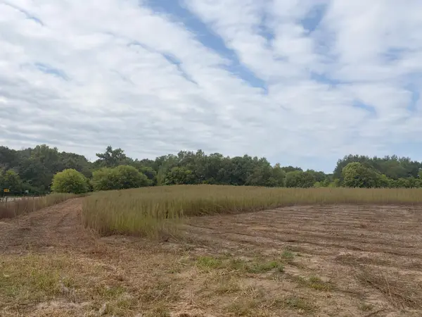 TBD (L1-SM East) 269th Avenue Nw, Isanti, MN 55040