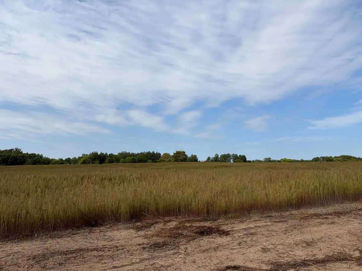TBD (L3-SM East) Yellowpine Court Nw, Isanti, MN 55040 - #1