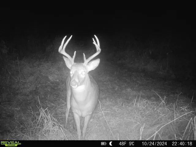 14664 Mallard Road, Brook Park, MN 55007 - #3