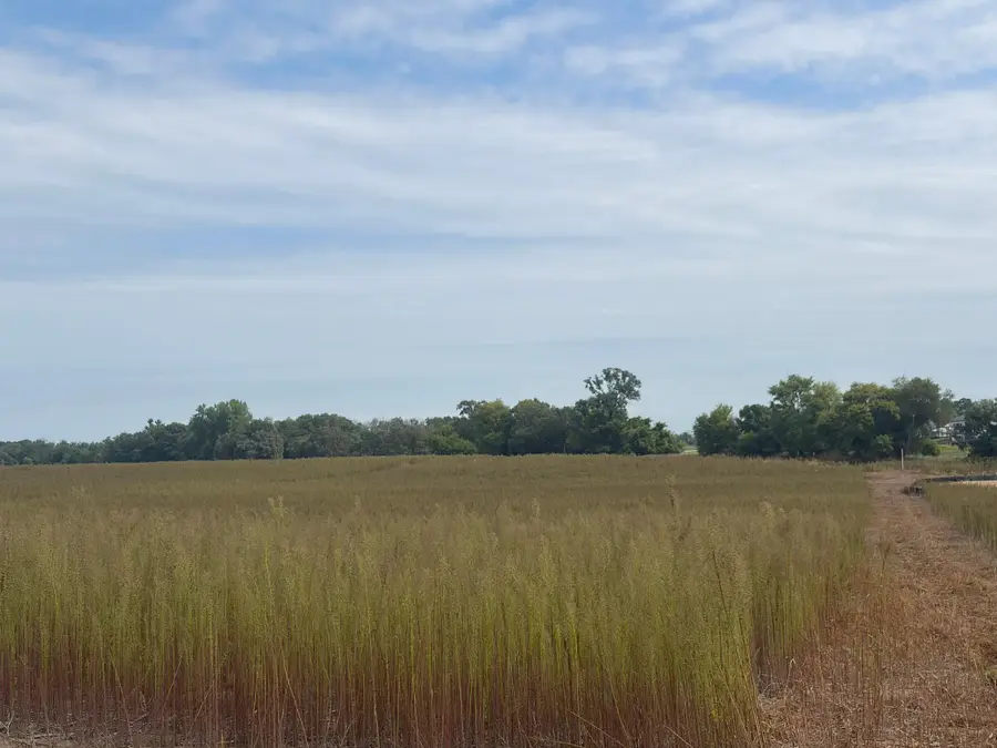 TBD (L13-SM East) Yellowpine Court Nw, Isanti, MN 55040 - #3