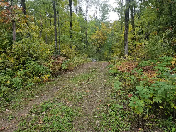 20012 Nature Trail, Ironton, MN 56455