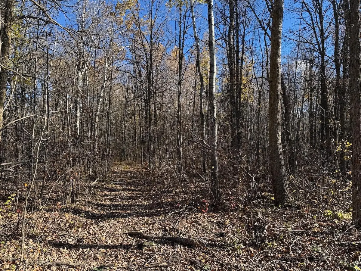 TBD Spangrud Court Ne, Kelliher, MN 56650 - #1