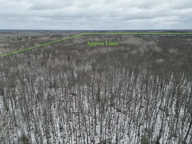 TBD Spangrud Court Ne, Kelliher, MN 56650 - #3