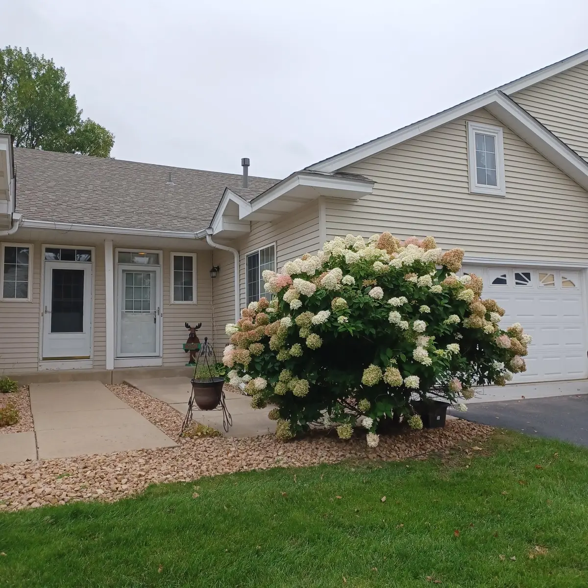 12795 Ulysses Circle Ne, Blaine, MN 55434 - #1