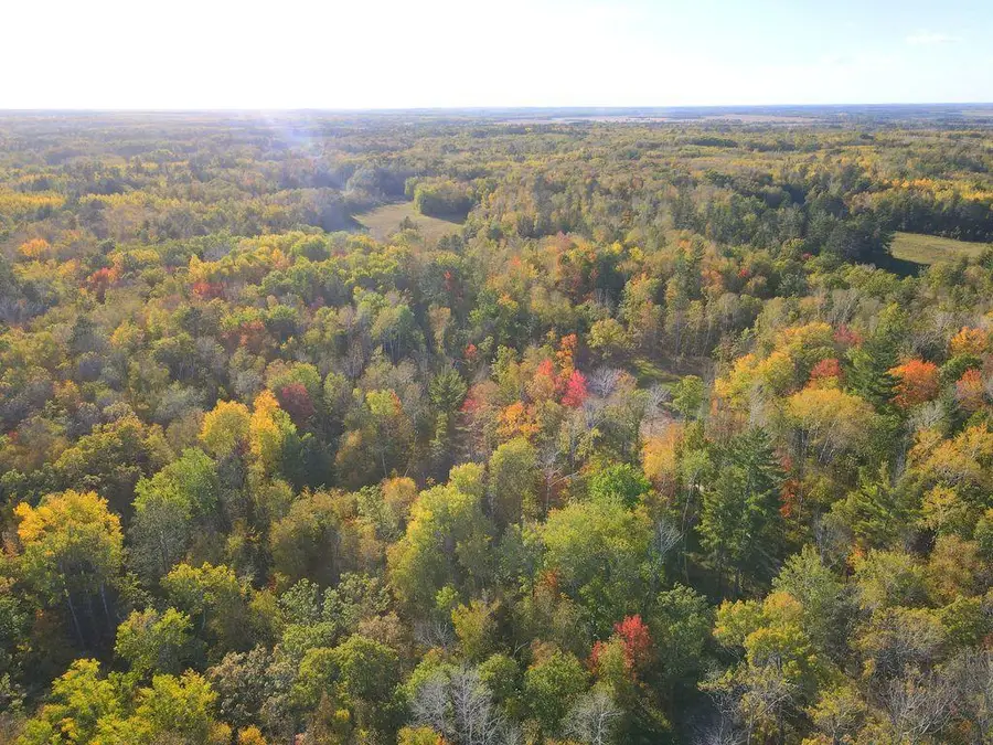 XXX Us 71, Park Rapids, MN 56470 - #3