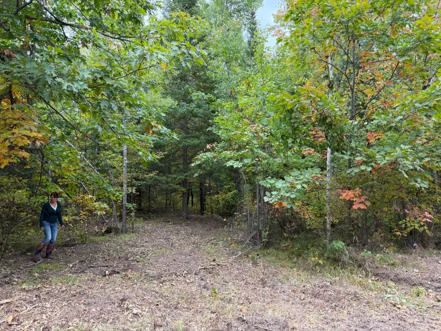 51181 Sand Creek Rd, Bruno, MN 55712 - #2