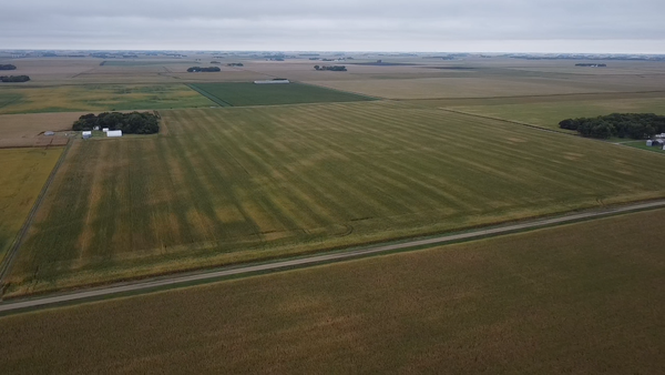 TBD-1 280th Street, Danube, MN 56230