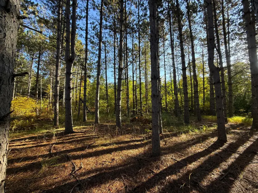 XXX 540th Lane, Palisade, MN 56469 - #2