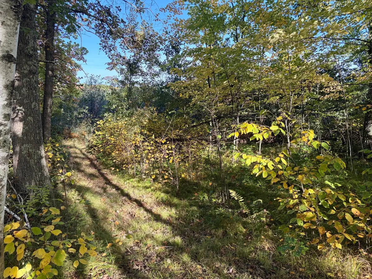 TBD 248th Place, McGregor, MN 55760 - #1