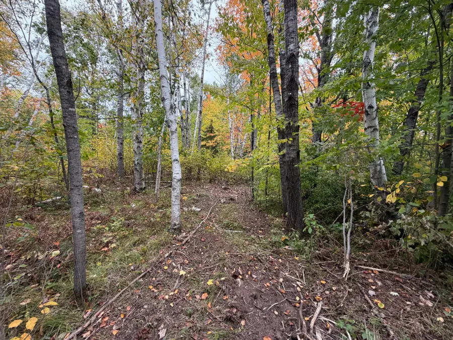 51449 Sand Creek Rd, Bruno, MN 55712 - #2