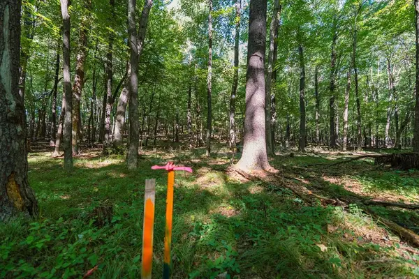 Lot3 815th Avenue, Menomonie, WI 54751