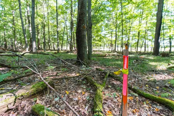 Lot5 815 Avenue, Menomonie, WI 54751