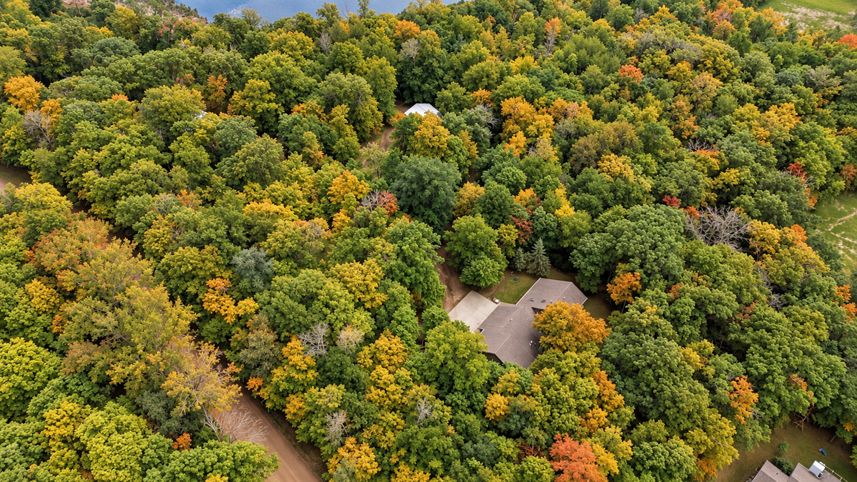 17135 200th Street, Lake Park, MN 56554 - #1