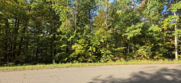 TBD Easy Street, Cushing, MN 56443