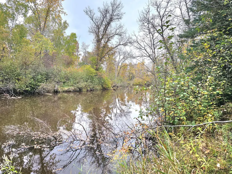 TBD 170th Lane, Pliny, MN 56350 - #3